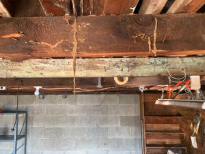 Visual evidence of termite damage on a floor beam, visible from the basement.