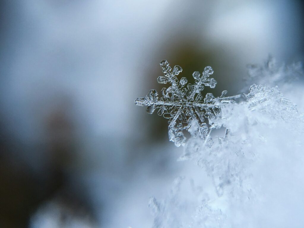 A very close up view of a snow flake, representing the winter time challenges of pest control.