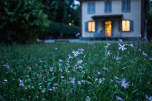 Close up of small purple wild flowers with a house in the background, representing peace of mind from the benefits of bed bug control.