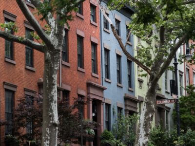 Multicolored row homes, signifying the pest control challenges of urban living.