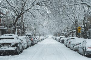 A tree-lined urban street with many parked cars during a snow storm.