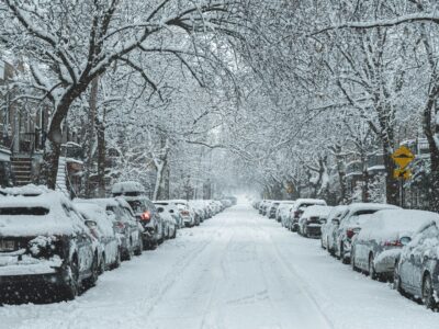 A tree-lined urban street with many parked cars during a snow storm.